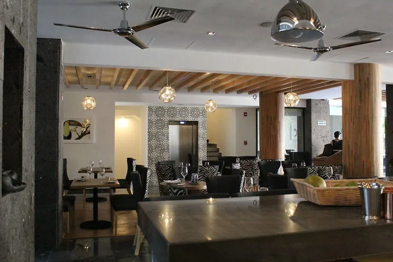 פלאייה דל כרמן Soul Beach Boutique Hotel & Spa (Adults Only)
